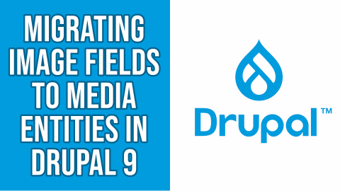 Migrating Image Fields to Media Entities in Drupal 9